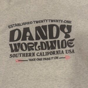 Gray Dandy Worldwide Graphic Tee